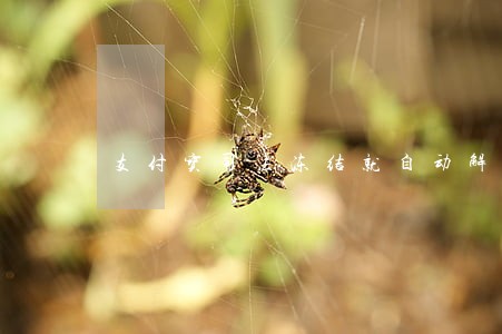 支付宝司法冻结就自动解封吗 支付宝司法冻结就自动解封吗