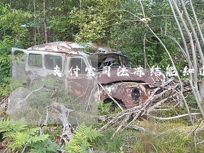 支付宝司法冻结能知道有几个投诉