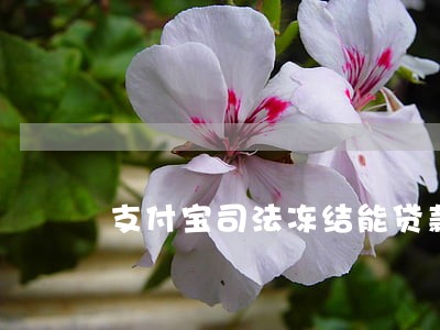 支付宝司法冻结能贷款 支付宝司法冻结能贷款