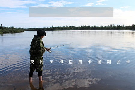 支付宝和信用卡逾期会坐牢吗 支付宝和信用卡逾期会坐牢吗