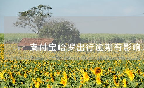 支付宝哈罗出行逾期有影响吗 支付宝哈罗出行逾期有影响吗