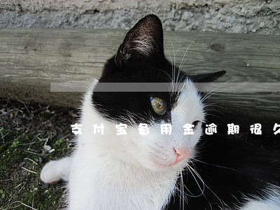 支付宝备用金逾期很久 支付宝备用金逾期很久