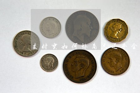 支付宝如何协商只还本金 支付宝如何协商只还本金