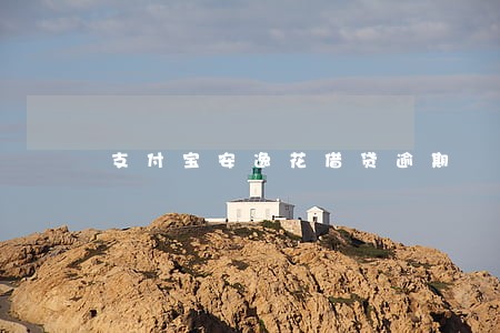 支付宝安逸花借贷逾期 支付宝安逸花借贷逾期