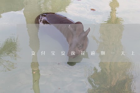 支付宝安逸花逾期一天上吗 支付宝安逸花逾期一天上吗