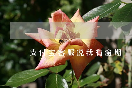 支付宝客服说我有逾期 支付宝客服说我有逾期