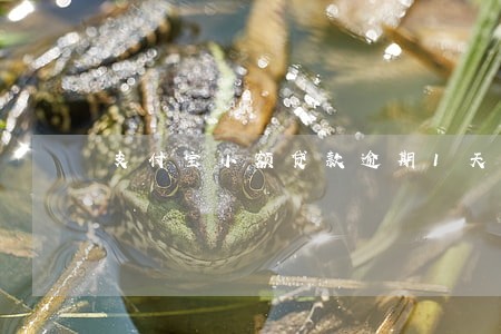 支付宝小额贷款逾期1天 支付宝小额贷款逾期1天