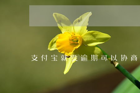 支付宝就要逾期可以协商吗