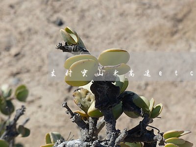 支付宝山东高速etc逾期 支付宝山东高速etc逾期