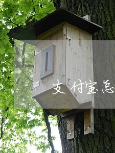 支付宝怎么协商只还本金分期 支付宝怎么协商只还本金分期