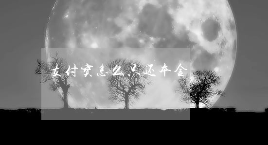 支付宝怎么只还本金 支付宝怎么只还本金