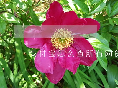 支付宝怎么查所有网贷的逾期情况 支付宝怎么查所有网贷的逾期情况
