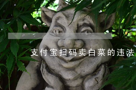 支付宝扫码卖白菜的违法不 支付宝扫码卖白菜的违法不