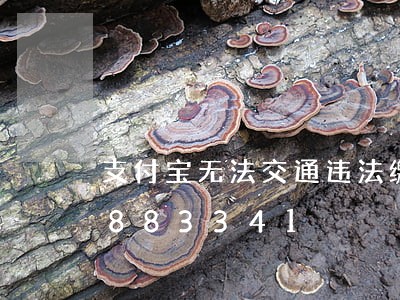 支付宝无法交通违法缴罚/2023020883341 支付宝无法交通违法缴罚/2023020883341