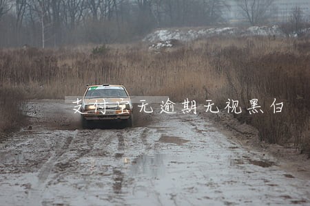 支付宝无逾期无视黑白