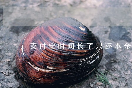 支付宝时间长了只还本金 支付宝时间长了只还本金