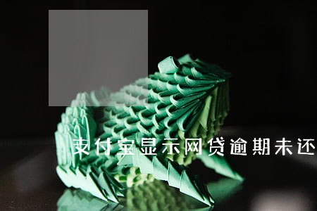 支付宝显示网贷逾期未还 支付宝显示网贷逾期未还