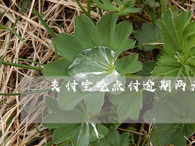 支付宝晚点付逾期两天 支付宝晚点付逾期两天