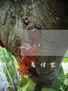 支付宝有两个逾期能贷款买房 支付宝有两个逾期能贷款买房