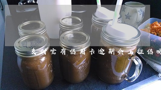 支付宝有信用卡逾期会上征信吗 支付宝有信用卡逾期会上征信吗