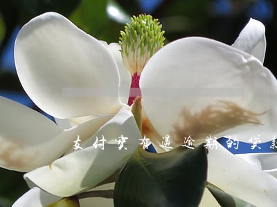 支付宝有过逾期的贷款软件 支付宝有过逾期的贷款软件