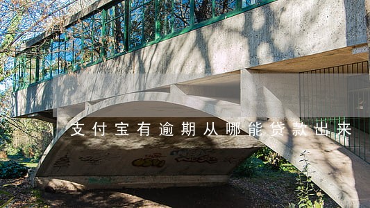 支付宝有逾期从哪能贷款出来 支付宝有逾期从哪能贷款出来