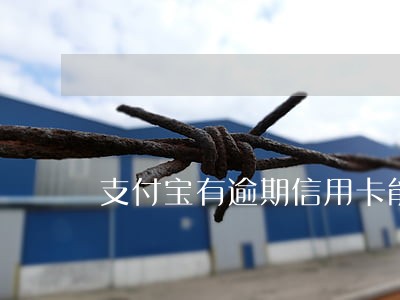 支付宝有逾期信用卡能下来吗