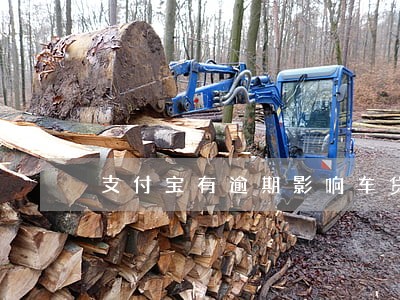 支付宝有逾期影响车贷款吗 支付宝有逾期影响车贷款吗