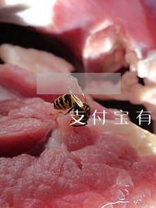 支付宝有逾期能申请信用卡吗 支付宝有逾期能申请信用卡吗