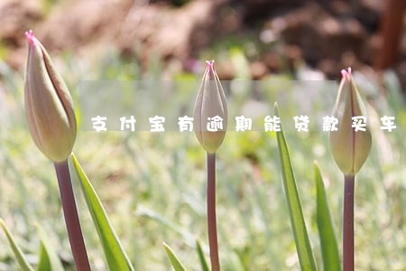 支付宝有逾期能贷款买车吗 支付宝有逾期能贷款买车吗