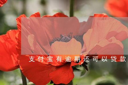 支付宝有逾期还可以贷款吗 支付宝有逾期还可以贷款吗