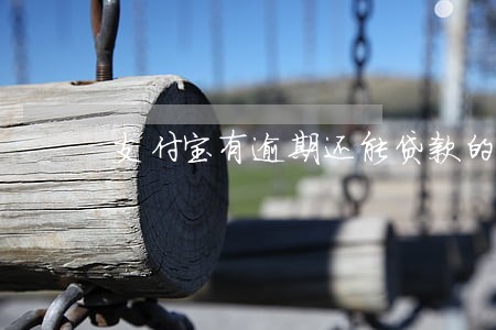 支付宝有逾期还能贷款的平台 支付宝有逾期还能贷款的平台
