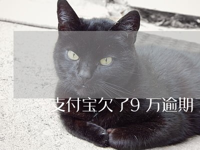 支付宝欠了9万逾期了 支付宝欠了9万逾期了