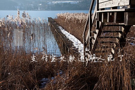 支付宝欠款逾期人死了 支付宝欠款逾期人死了