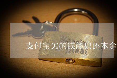 支付宝欠的钱能只还本金吗 支付宝欠的钱能只还本金吗
