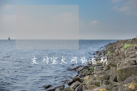 支付宝欠网贷逾期 支付宝欠网贷逾期