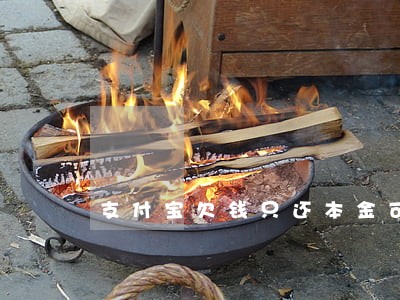 支付宝欠钱只还本金可以吗