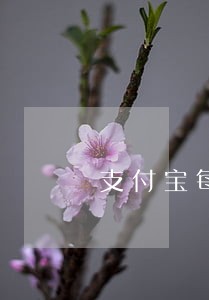 支付宝每期都逾期会累计吗