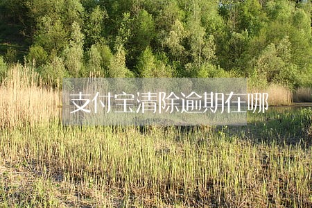 支付宝清除逾期在哪 支付宝清除逾期在哪