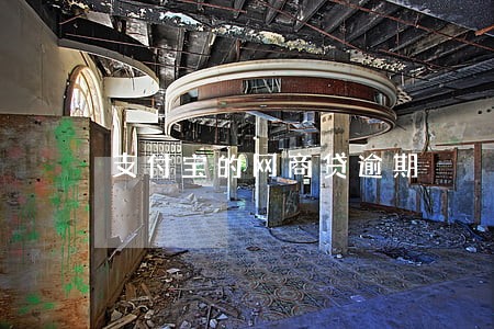 支付宝的网商贷逾期 支付宝的网商贷逾期