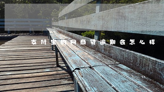 支付宝的网商贷逾期会怎么样 支付宝的网商贷逾期会怎么样