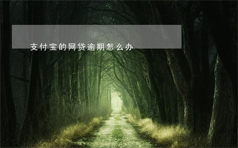 支付宝的网贷逾期怎么办 支付宝的网贷逾期怎么办