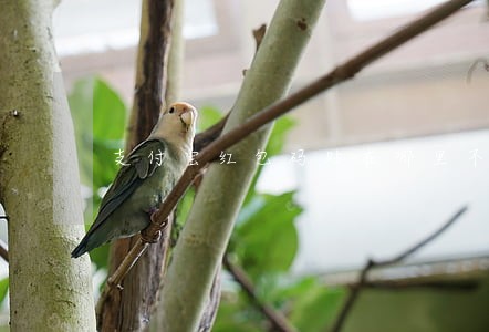 支付宝红包码贴在哪里不违法 支付宝红包码贴在哪里不违法