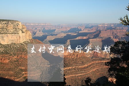 支付宝网商行贷逾期 支付宝网商行贷逾期