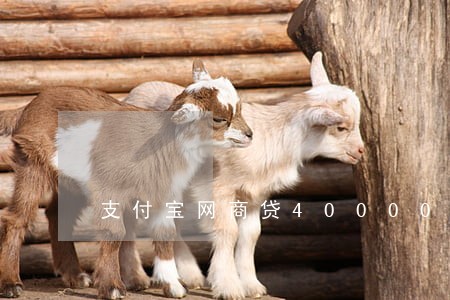 支付宝网商贷40000逾期 支付宝网商贷40000逾期