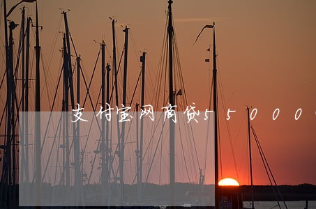 支付宝网商贷55000逾期 支付宝网商贷55000逾期