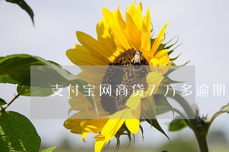 支付宝网商贷7万多逾期一年 支付宝网商贷7万多逾期一年