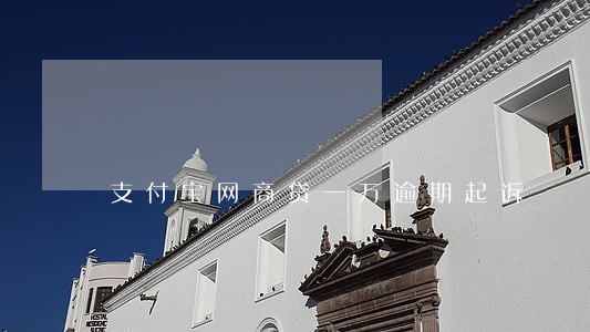 支付宝网商贷一万逾期起诉