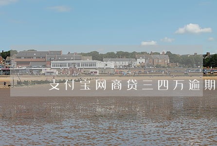 支付宝网商贷三四万逾期了 支付宝网商贷三四万逾期了