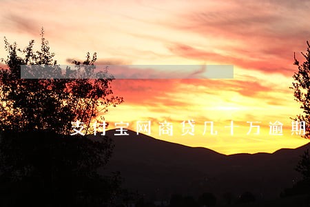 支付宝网商贷几十万逾期会怎样